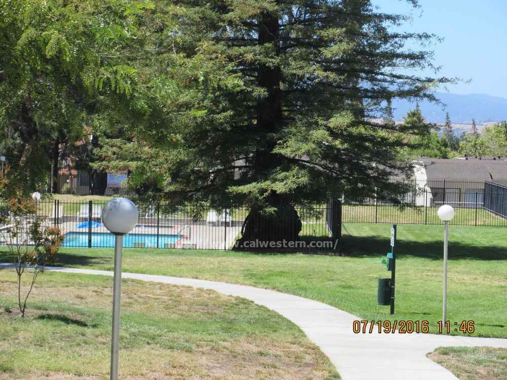1779 Shady Creek Ct - Photo 2 of 12