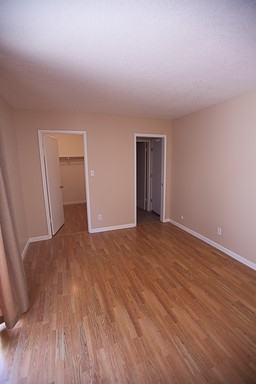 4019 Gold Run - Photo 3 of 19