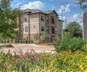 1615 Sawdust Rd #946