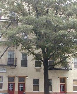 562 Hudson Street - Photo 2 of 2