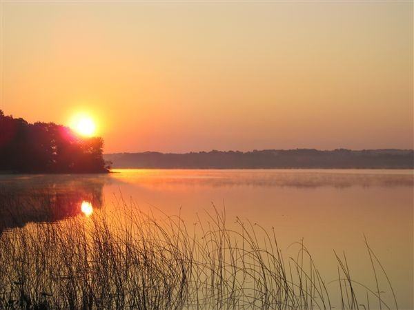 167 E Piney Rd - Photo 2 of 10