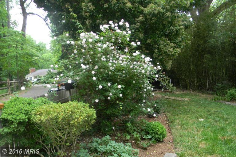 1509 Oak Dale Rd - Photo 3 of 21