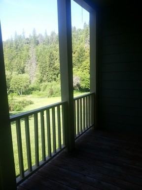 1601 Spring Valley Dam Ln - Photo 3 of 5