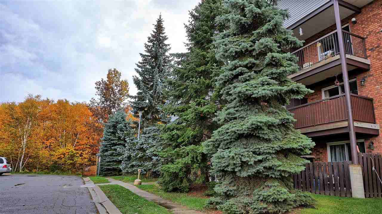 870 Beverly Drive - Photo 3 of 11