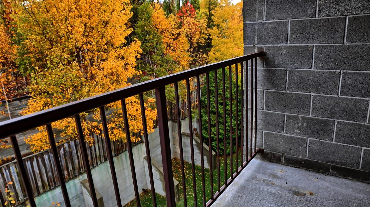 884 Regent St - Photo 3 of 14