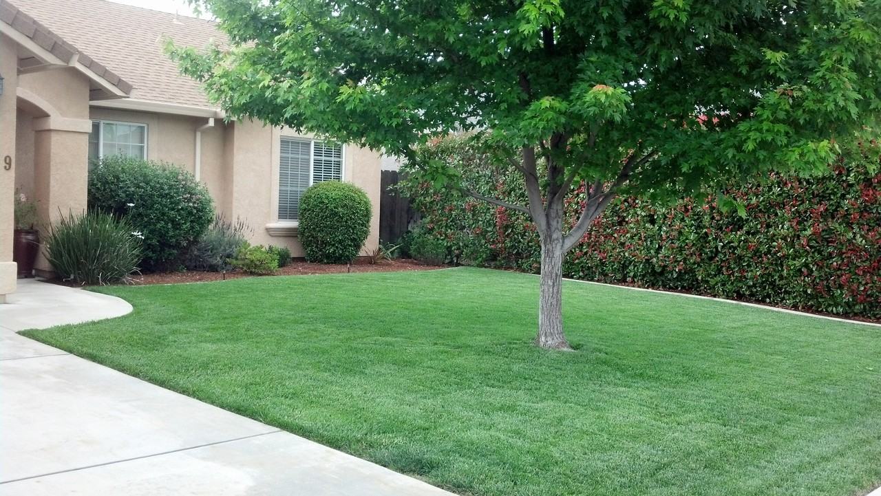 3449 Nathan Dr - Photo 2 of 5