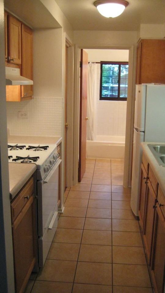 953 E 86th St 1stfl Chicago Il 60619 1 Bedroom Condo For Rent