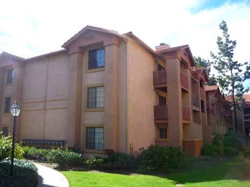 12071 Alta Carmel Ct #101