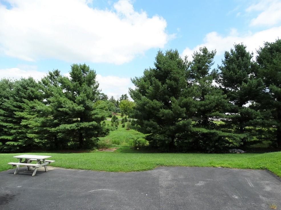 639 Fulton St - Photo 3 of 3