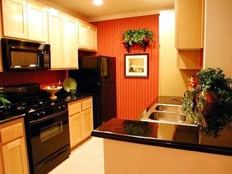 The Medici - Photo 3 of 24