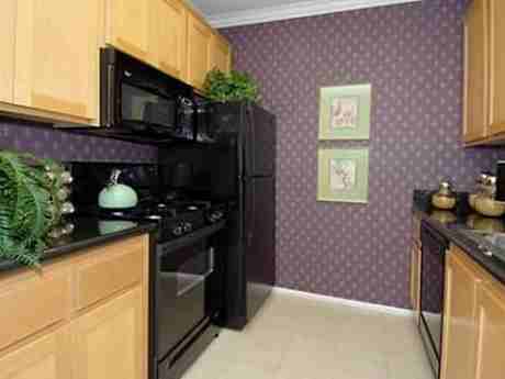 The Medici - Photo 2 of 24