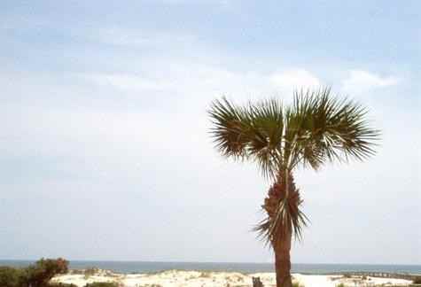 400 Plantation Rd #1 - Photo 2 of 13