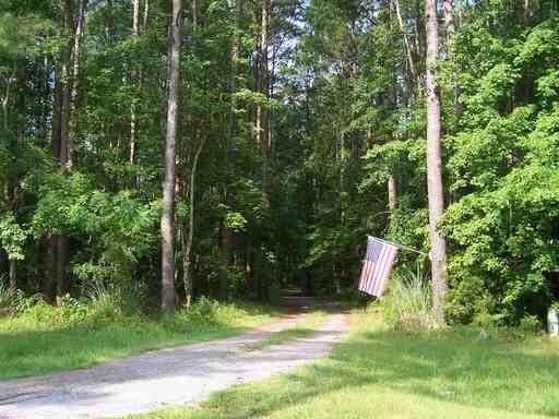 875 Mixon Creek Rd - Photo 3 of 13