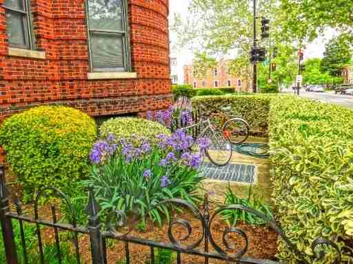 1201 Q St NW #401 - Photo 3 of 17