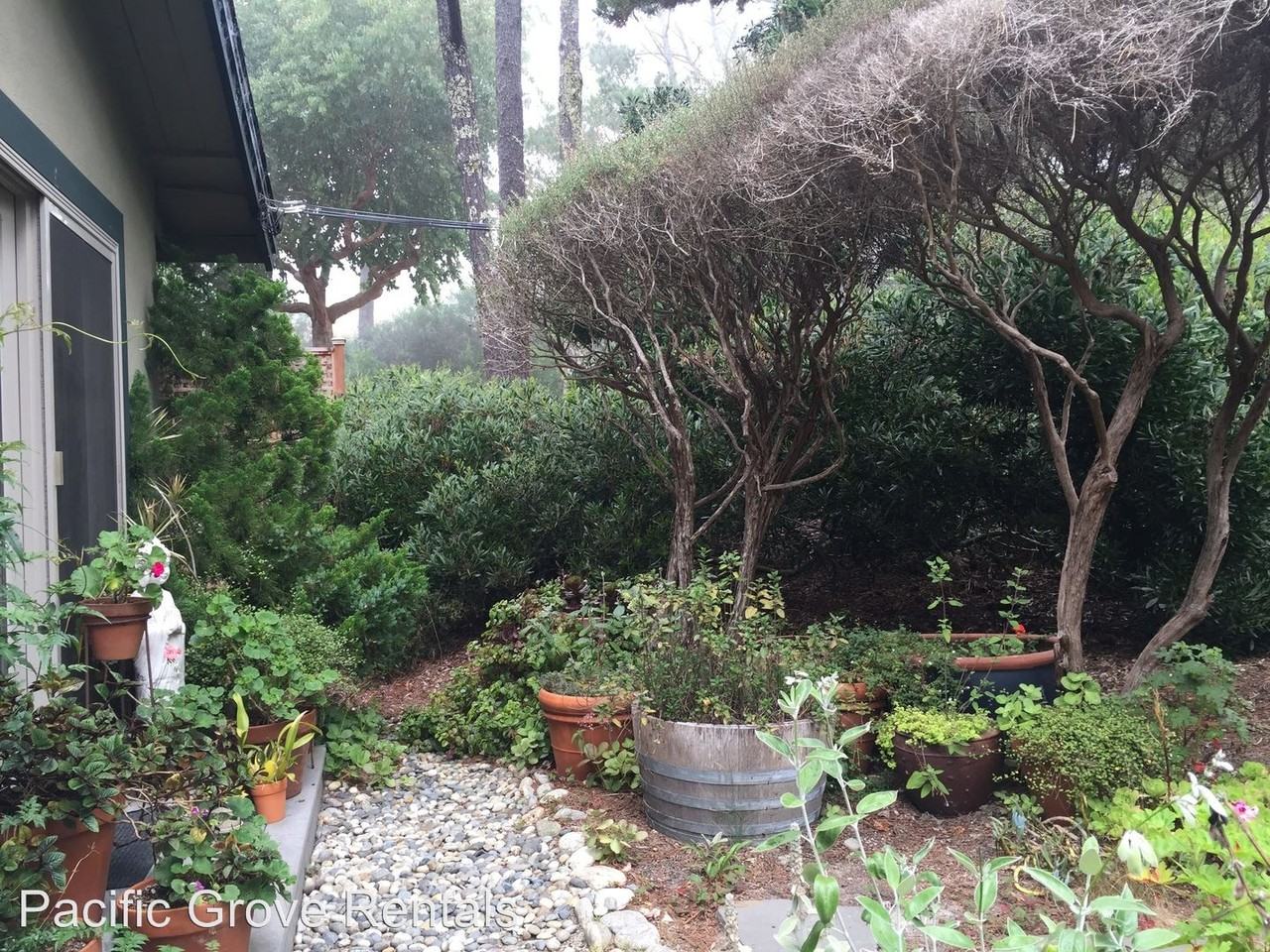 4076 Sunset Ln - Photo 3 of 16