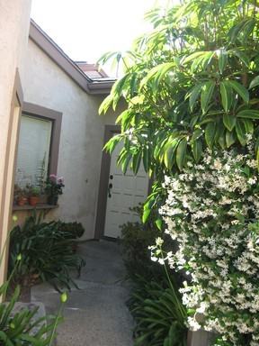 5631 Adobe Falls Rd #47 - Photo 2 of 9