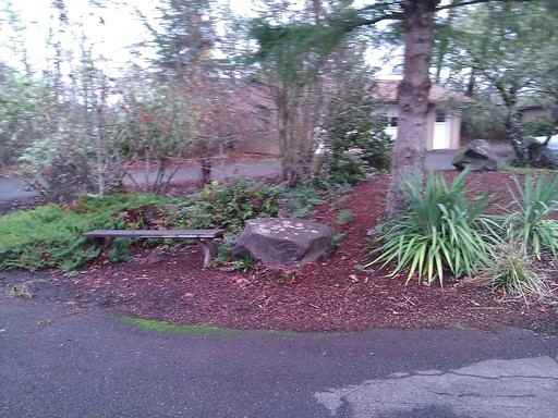 90915 Sunderman Rd #90915 - Photo 3 of 21