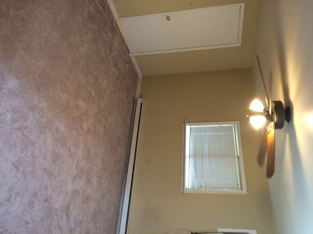 233 Cottage Ave - Photo 3 of 13