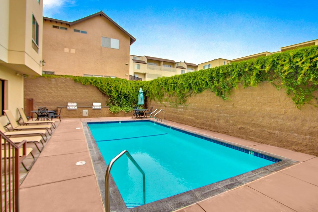 Olive Encino - Photo 6 of 35