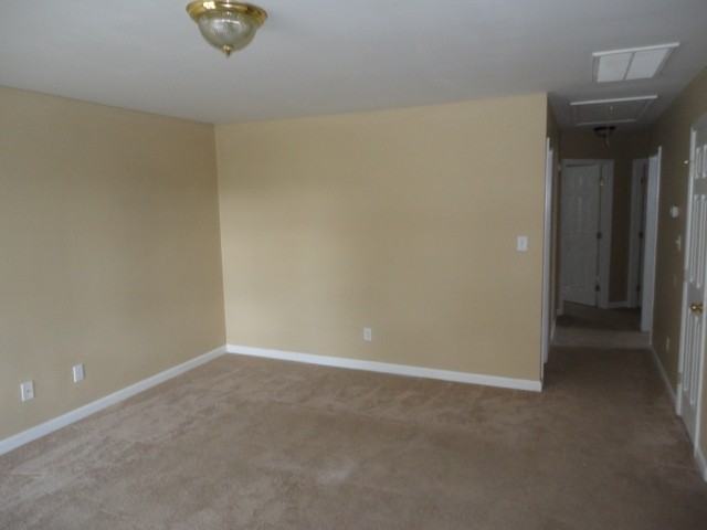 3700 Cashew Dr - Photo 2 of 10