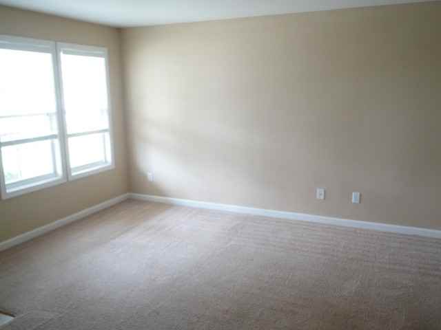 3700 Cashew Dr - Photo 3 of 10