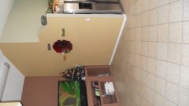 6224 Royal Gorge Dr - Photo 3 of 12