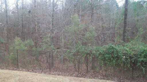 1440 Satellite Cir - Photo 3 of 12