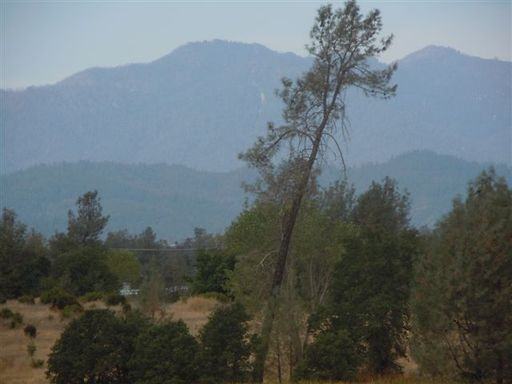 6016 Mid Drive Trail - Photo 2 of 13