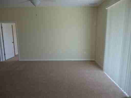 20506 Carolina Cherry Ct - Photo 2 of 17