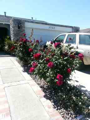 3722 S Olive St - Photo 2 of 10