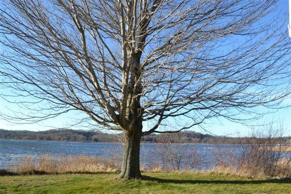 3145 Memorial Dr - Photo 2 of 19