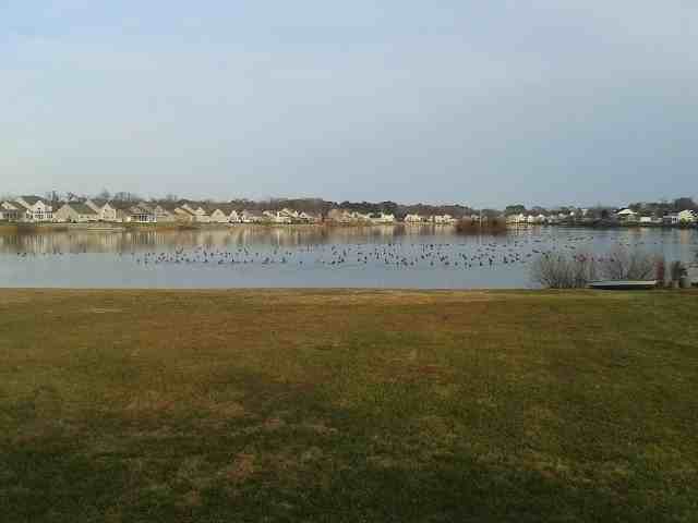 36876 Jahnigen Dr - Photo 3 of 7