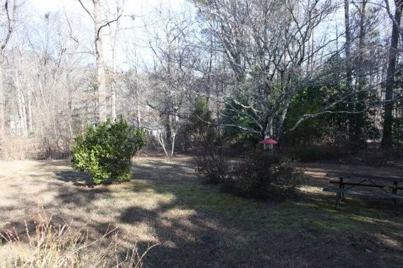 451 Peniel Rd - Photo 3 of 10