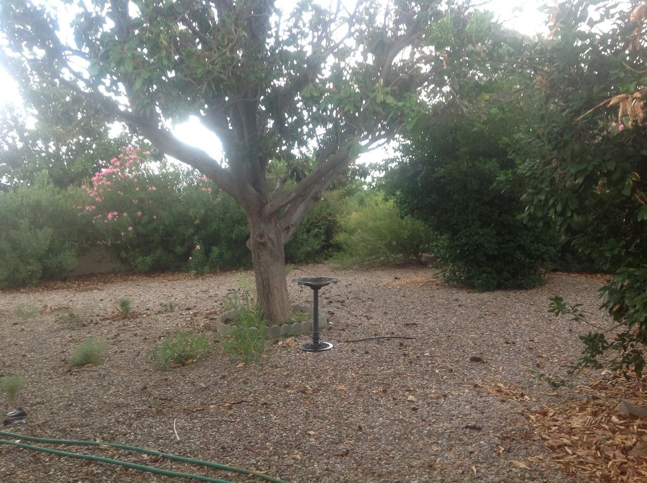 132 E El Viento - Photo 2 of 9
