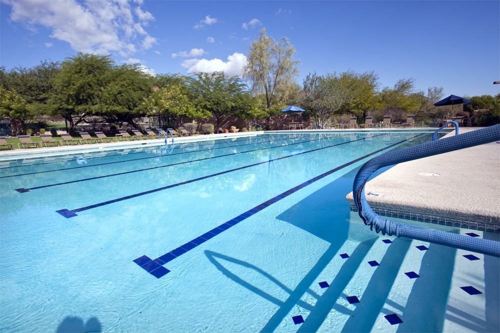 3233 Flowering Cactus Ct - Photo 2 of 22