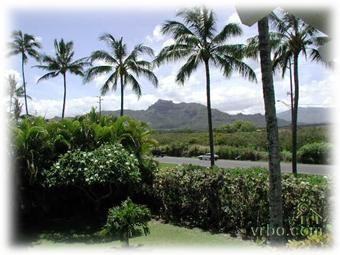 525 Aleka Loop - Photo 2 of 9