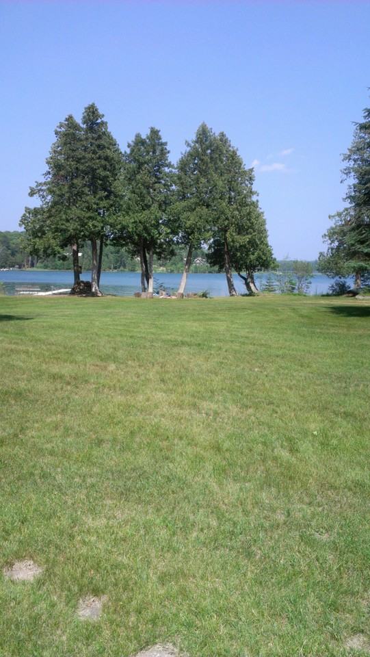 37310 Little John Rd - Photo 2 of 10