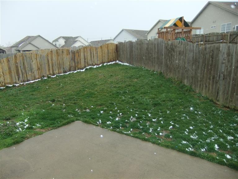 2737 Mill Wood Cove - Photo 2 of 5