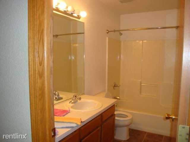 1419 Indian Paintbrush Ct - Photo 3 of 11