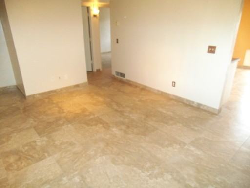 3850 S Desert Spring Dr - Photo 3 of 13