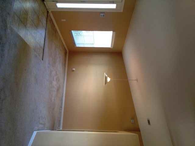 5291 Cinnamon Fern Blvd - Photo 3 of 12