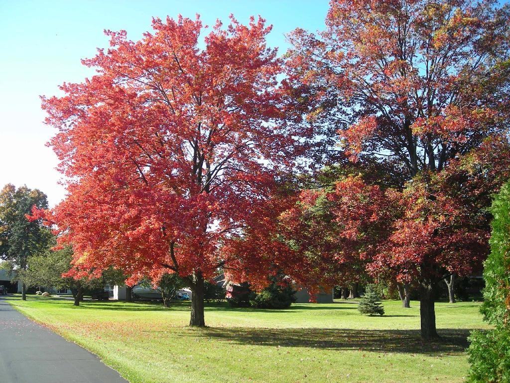 6760 US 31 North - Photo 5 of 25