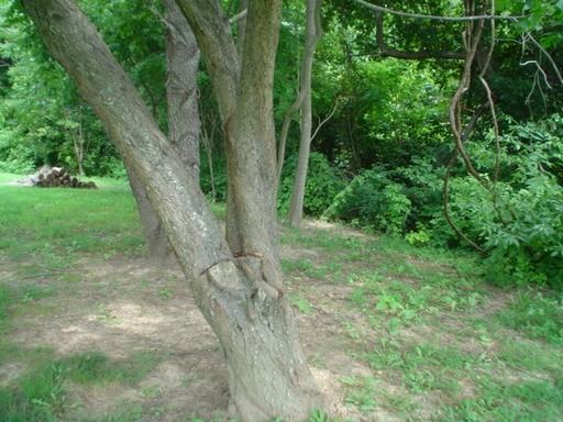 25122 Three Notch Rd - Photo 3 of 22