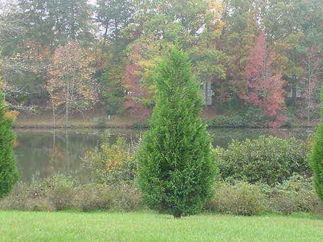 10 Treeble Ct - Photo 2 of 2