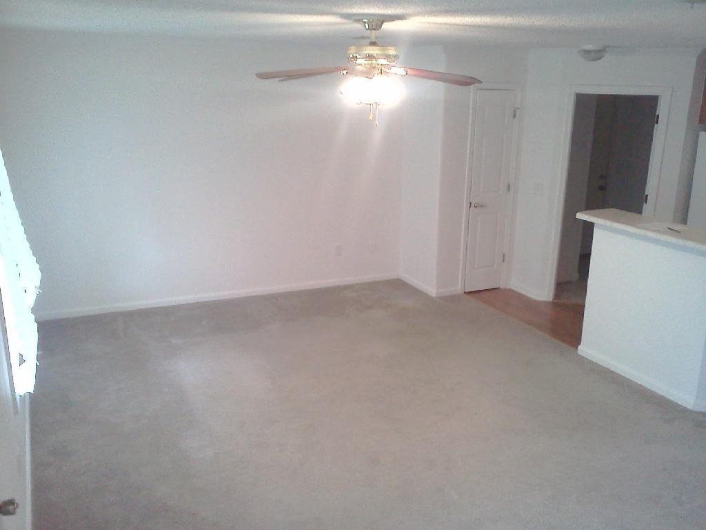 1076 State Rd 1314 - Photo 3 of 16