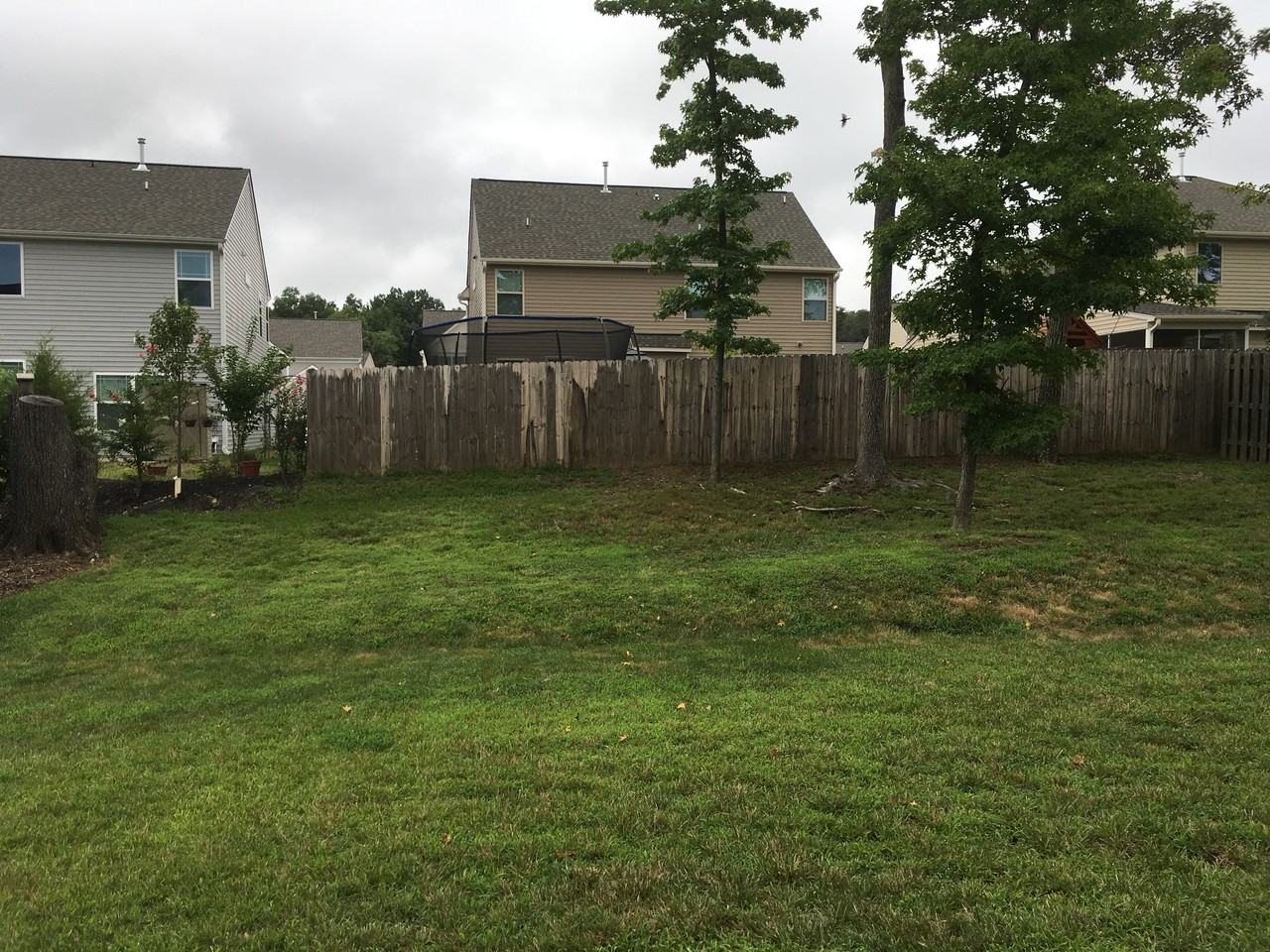 2443 Alderbrook Dr - Photo 2 of 16