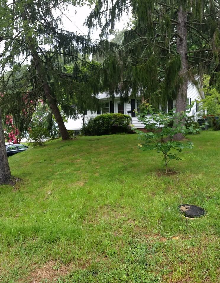 135 Davenport Rd - Photo 2 of 19