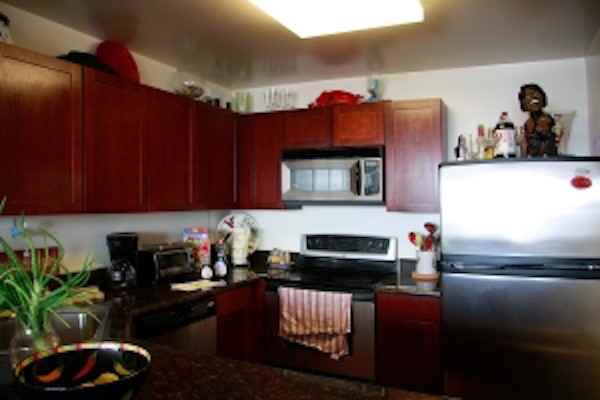 525 West Hawthorne Place #2903