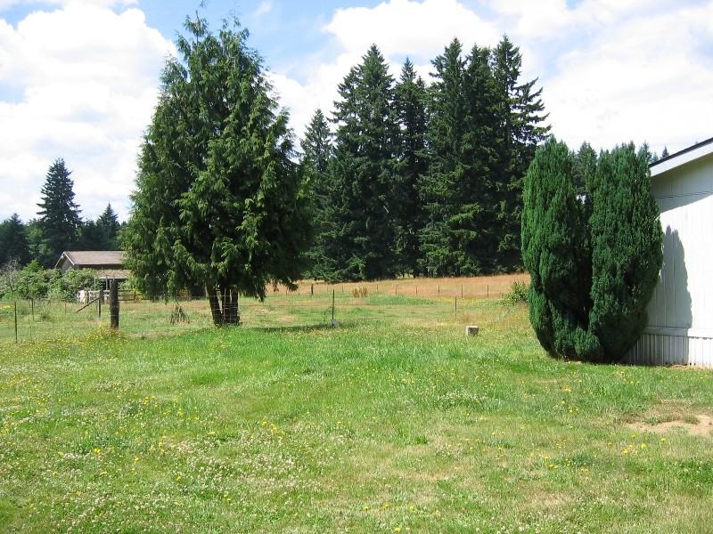 9407 Rich Rd SE - Photo 2 of 17