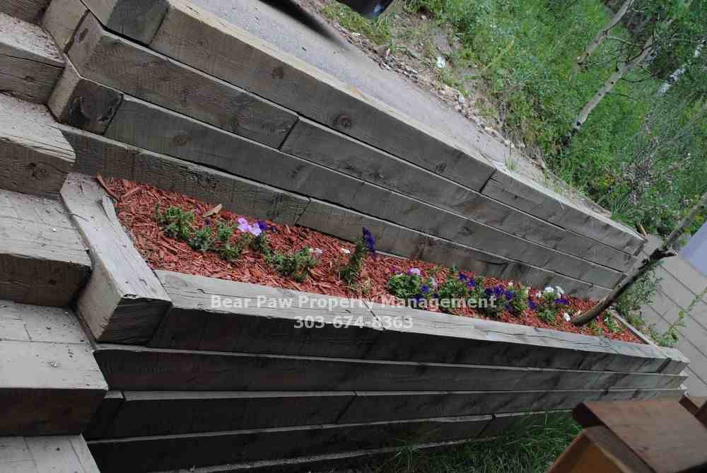 11678 Nichols Way - Photo 2 of 35